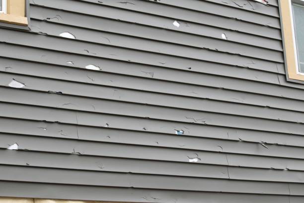 Best Steel Siding Installation  in Sylvania, OH