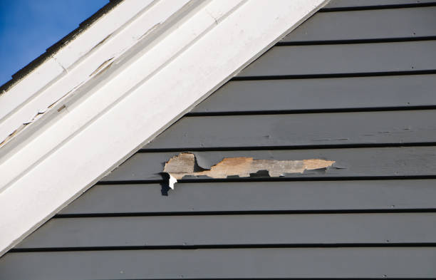 Best Vinyl Siding Installation  in Sylvania, OH